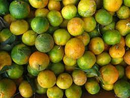 Juicy Oranges