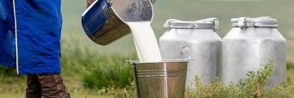 Farm Fresh Milk