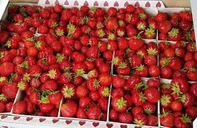 Fresh Strawberries
