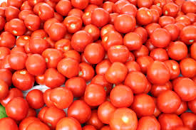 Fresh Tomatoes