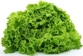 Green Lettuce