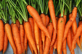 Organic Carrots