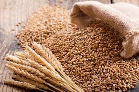 Organic Wheat Flour